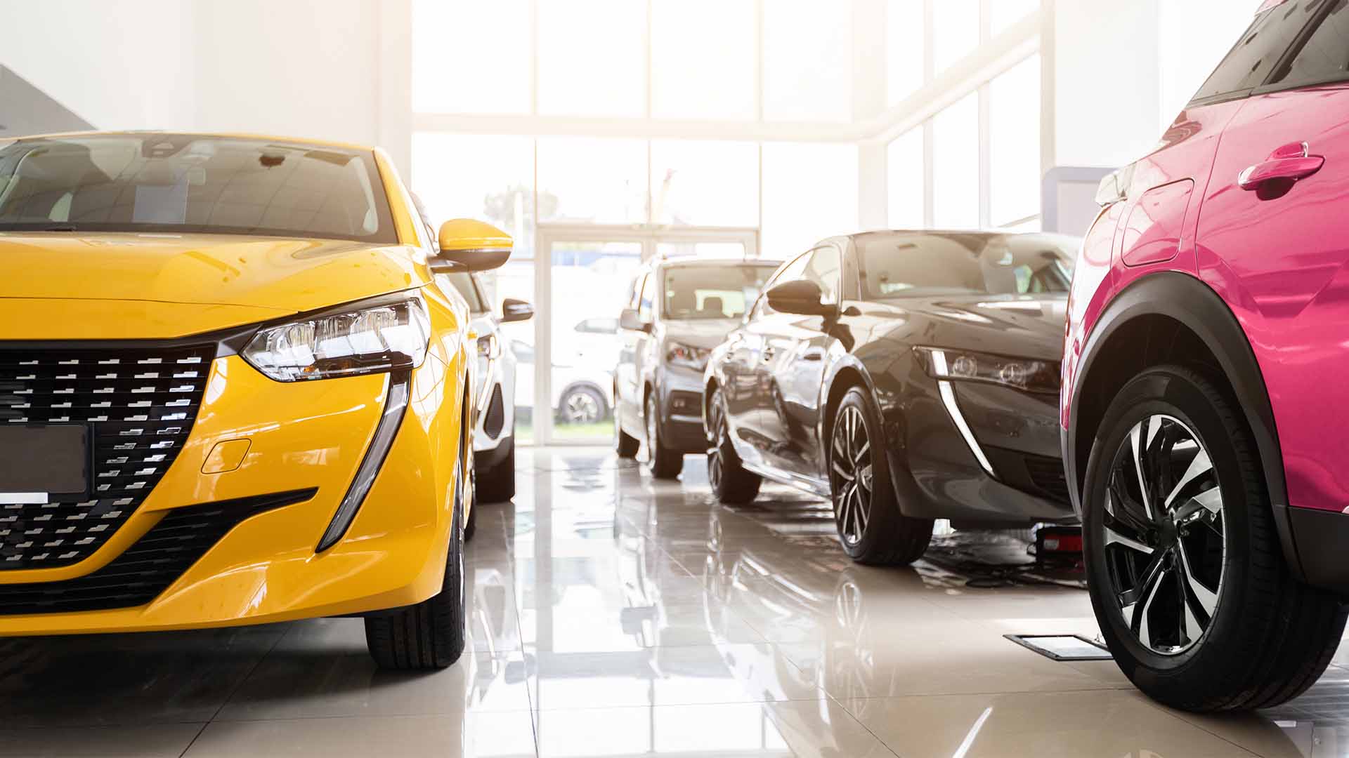 Car Showroom Orange And Pink ?? 